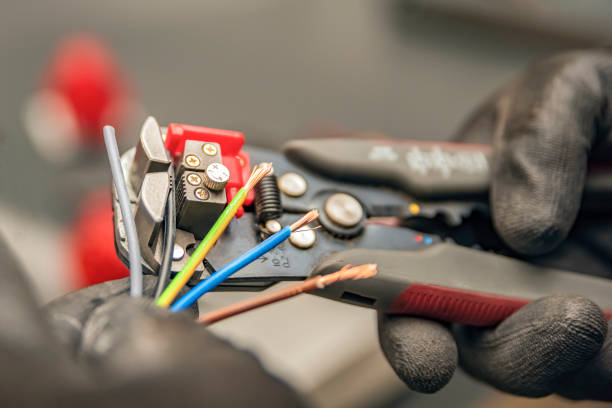 Best Local Electrician Companies  in Palm Shores, FL