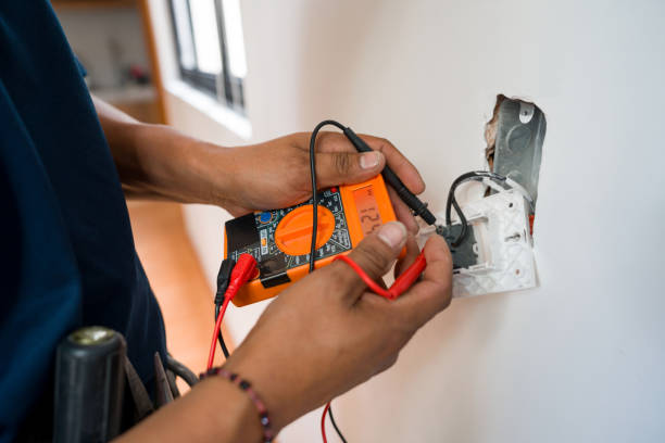 Best Licensed Electrician  in Palm Shores, FL