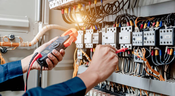 Best Generator Installation Services  in Palm Shores, FL